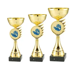 puchary-wedkarskie-zawody-masywne-zlote-33-32-30cm