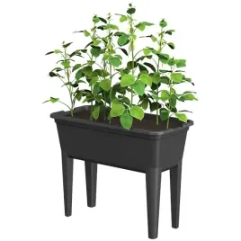 warzywniak-ogrodowy-szklarnia-tunel-rozsadnik-donica-do-sadzenia-na-warzywa