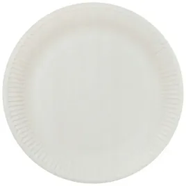 talerze-papierowe-sr-23-cm-10-szt-na-grilla-przyjecie