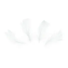 konfetti-piorka-krotkie-50-szt-biale-do-dekoracji