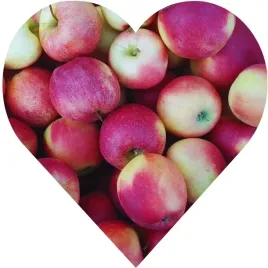 jablon-lobo-jablon-jak-legenda-kazdy-o-niej-slyszal-ale-nieliczni