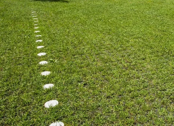 geokrata-kratka-drogowa-parking-trawnikowa-plyta-azurowa-stella-green