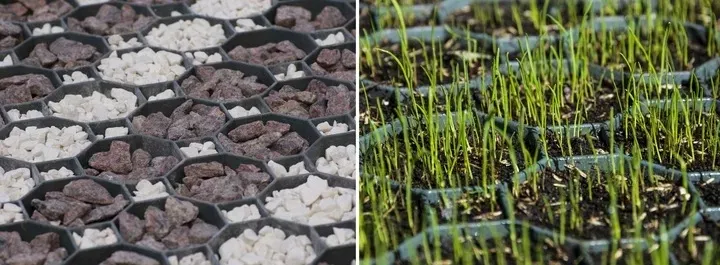 geokrata-kratka-drogowa-parking-trawnikowa-plyta-azurowa-stella-green-rodzaj-kratka-marka-inna