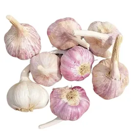 czosnek-harnas-1-kg-ozimy-polskie-glowki-mocny-aromat-zbior-2025