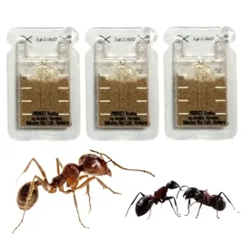 silny-proszek-srodek-preparat-trutka-na-mrowki-faraona-protect-3-szt