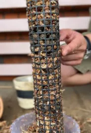 palik-z-mchu-60cm-sphagnum-podpora-do-roslin