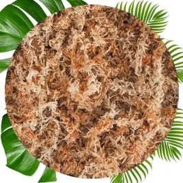 mech-torfowiec-sphagnum-5l-podloze-do-storczyka-ukorzeniania-naturalny