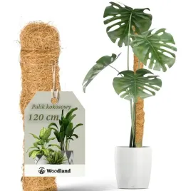 palik-kokosowy-120cm-podpora-do-roslin-kwiatow-monstery-gruba-sr-32mm
