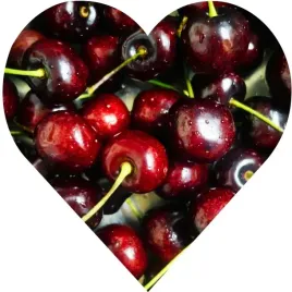 czeresnia-kordia-ceniona-za-bardzo-duze-owoce-o-czarnym-kolorze-max