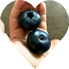 borowka-gigant-olbrzymia-owoc-jak-pieciozlotowka-smak-jak-z-bajki