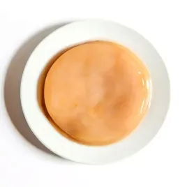 kombucha-grzyb-herbaciany-1-szt