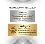 graw-tabliczka-mala-kolor-stan-nowy