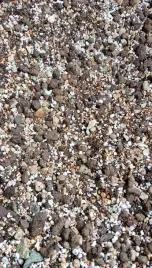 botanic-soil-succulent-10l-podloze-do-sukulentowbigos-ziemia