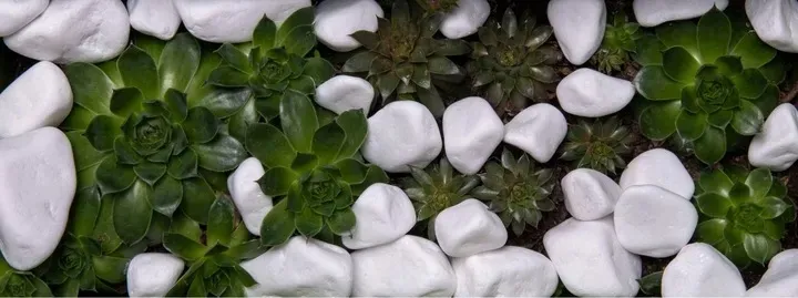 kamien-bialy-thassos-otoczak-grecki-do-ogrodu-dekoracyjny-2-4cm-20kg