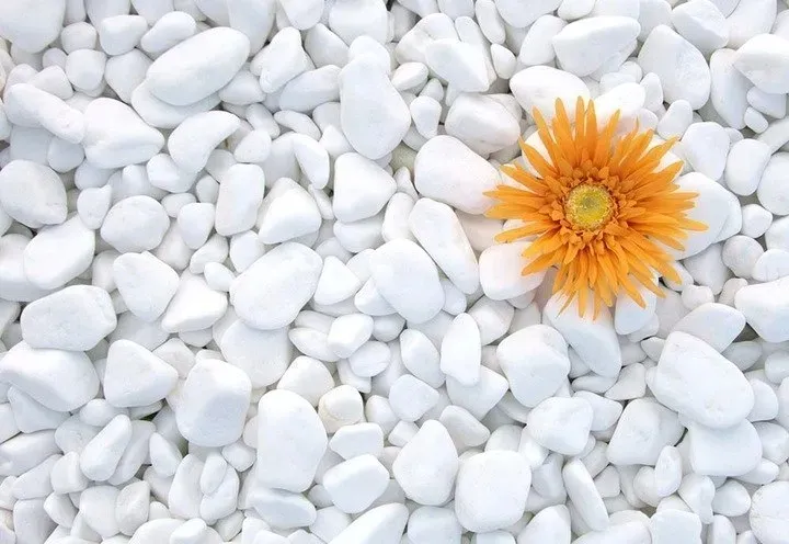 kamien-bialy-thassos-otoczak-grecki-do-ogrodu-dekoracyjny-2-4cm-20kg