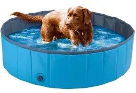 basen-dla-psa-120-x-30-cm-niebieski-zoofari