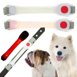 obroza-led-nakladka-na-obroze-dla-psa-swieci-w-ciemnosci-duza-20-cm-na-rzep