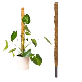 podpora-palik-kokosowy-100cm-1m-tyczka-do-monstery-kwiatow-roslin