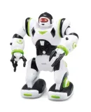 interaktywny-robot-z-funkcjami-kathay-haster-2