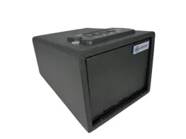 sejf-biometryczny-kompaktowy-elektroniczny