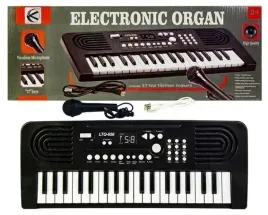 duze-organki-keyboard-z-mikrofonem-kathay-haster-2