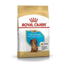 royal-canin-dachshund-puppy-15kg-karma-dla-szczeniat-do-10-ms-rasy-jamnik