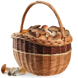 kosz-wiklinowy-koszyk-na-grzyby-zakupy-piknik-owoce-z-wikliny-duzy-eko