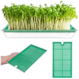 kielkownica-do-nasion-kielkow-rzezuchy-duza-naczynie-na-kielki-nasiona