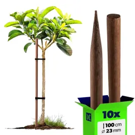 10x-paliki-do-pomidorow-drewniane-100-cm-impregnowany-podpora-drzewek-23-mm