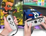 2x-handgrip-uchwyty-pad-na-joy-cony-do-nintendo-switch-oled-zawiera-baterie-nie