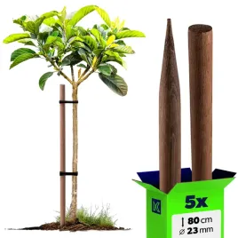 5-szt-paliki-do-pomidorow-drewniane-80-cm-impregnowany-podpora-drzewek-23mm