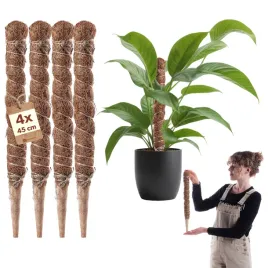 4x-podpora-do-roslin-kwiatow-45cm-palik-kokosowy-45mm-tyczka-palka-monstery