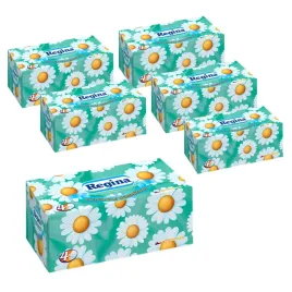 regina-chusteczki-higieniczne-rumiankowe-wyciagane-w-pudelku-96-sztuk-x6