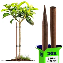 20-szt-paliki-do-pomidorow-drewniane-80cm-impregnowany-podpora-drzewek-23mm