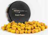 wafters-esca-feeder-corn-power-mini-6mm-50ml-przeznaczenie-amury-karasie-karpie-leszcze-plocie
