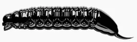 libra-lures-przyneta-guma-goliath-black-45-cm-czosnek