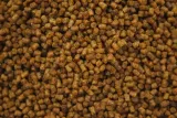 micro-pellet-profes-2mm-method-feeder-miod-przeznaczenie-amury-karasie-karpie-klenie-leszcze-lipienie-plocie