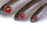 guma-fox-rage-slick-shad-11cm-electric-flash-stan-nowy