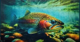 zwoltex-recznik-pstrag-50x100-ekskluzywny-prezent-dla-wedkarza