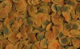 tetra-cichlid-pro-500ml-tetra-postac-granulat