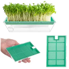 kielkownica-do-nasion-kielkow-uprawa-rzezuchy-naczynie-na-kielki-nasiona