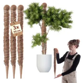 3x-podpora-do-roslin-kwiatow-60cm-palik-kokosowy-45mm-tyczka-palka-monstery