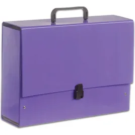 teczka-z-raczka-b4-jumbo-10cm-fioletowa-pastelowa-tt6852-tadeo-penmate