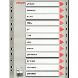 przekladki-pp-esselte-a4-12-miesiecy-esselte