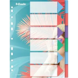 przekladki-colourbreeze-pp-a4-6-przekladek-628499-esselte-esselte