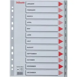 przekladki-plastikowe-szare-pp-a4-12-miesiecy-numeryczne-100114-esselte-ess