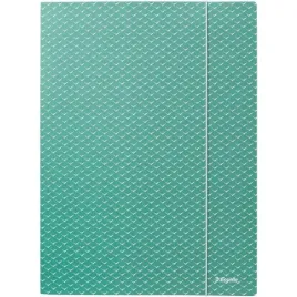 teczka-kartonowa-z-gumka-colourbreeze-a4-zielona-628493-esselte-esselte