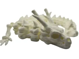 smok-chinski-szkielet-ruchoma-figurka-3d-flexi-kolor-kosci-prezent-30cm