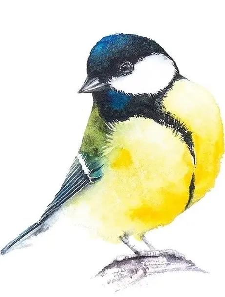 gra-laka-meadow-pl-rebel-wysokosc-produktu-30-cm