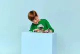 lego-minecraft-21586-blady-ogrod-stan-nowy-plec-chlopcy-dziewczynki